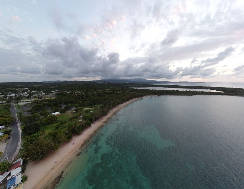 Beachfront Studio