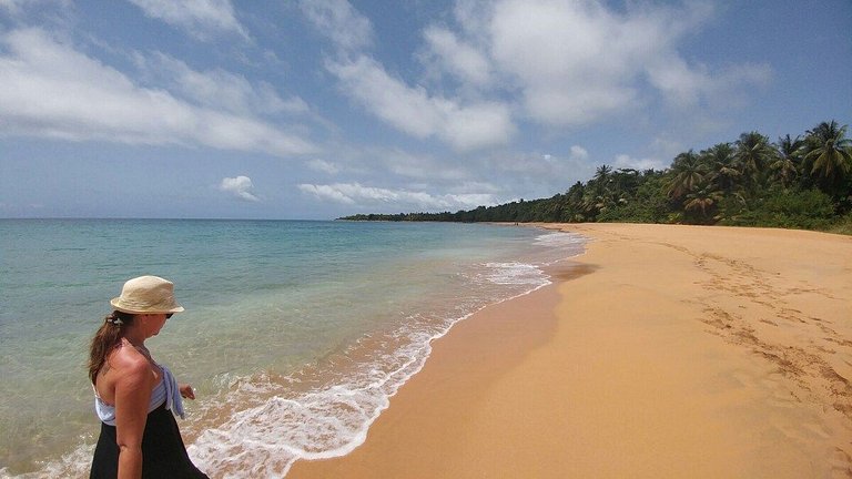 Estudio Frente Playa