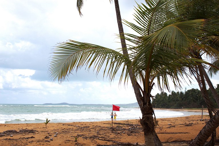 Estudio Frente Playa